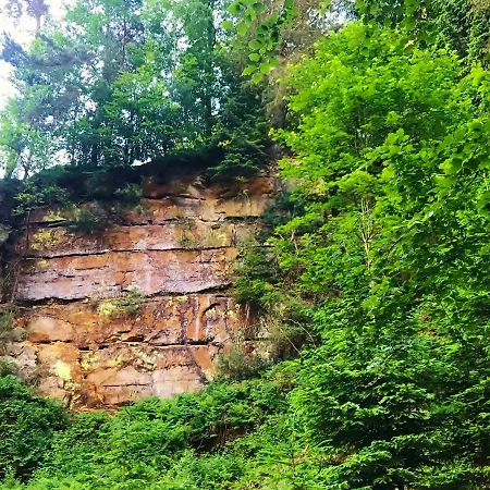 Blockhaus Im Kuckuckswinkel